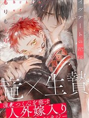 斗破漫画炼药师手记索引封面